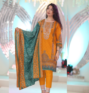 Painjabi embroidered and Printed