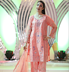 Embroidered Painjabi