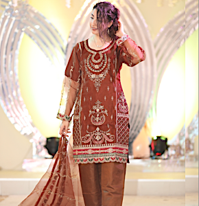 Embroidered Painjabi