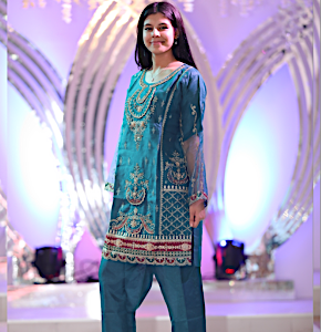 Embroidered Painjabi