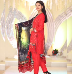 Painjabi embroidered Dresse 2023