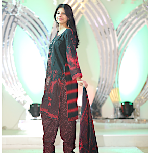 Painjabi embroidered and Printed